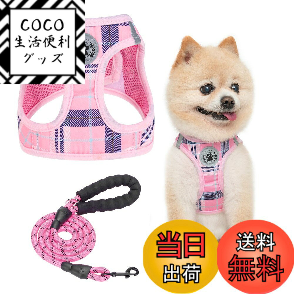 ������̵����BEAUTYZOO ���ѥϡ��ͥ� �꡼�ɥ��å� ������ �淿�� �緿���б� ����ĥ���ɻ� Ĵ���ǽ �̵�����å��� ���� ȿ�ͺ��դ� ��ñ��æ ȴ��...