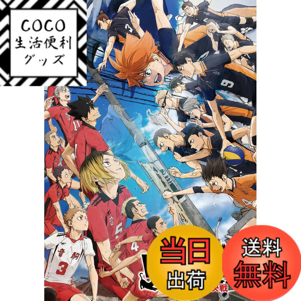 【送料無料】『劇場版ハイキュー!! ゴミ捨て場の決戦』 通常版 [DVD]