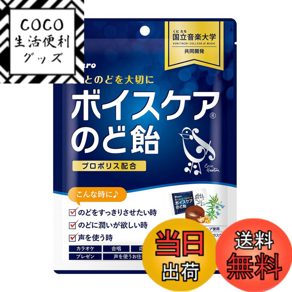 【送料無料】カンロ ボイスケアのど飴 563g 色：あめ、サイズ：70グラムx6袋