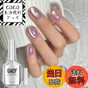 【送料無料】GAOY マグネットネイル ジェルネイル 単色 UV・LED対応 ポリッシュタイプ セルフネイル 初心者&プロ適用 色:バイオレット