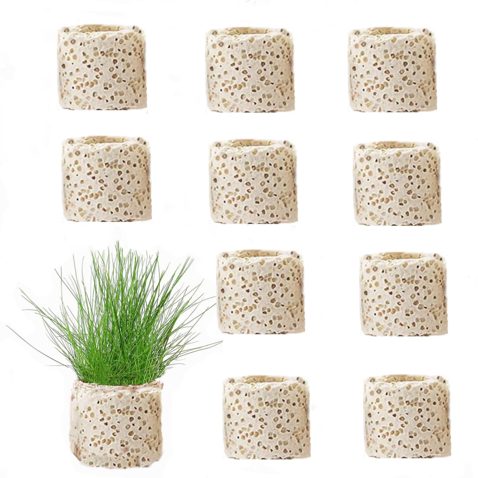 【送料無料】YFFSFDC 水生植物固定リング10個セット水族館植物アンカーろ過材 ろ材 水槽 観賞魚 濾過材..