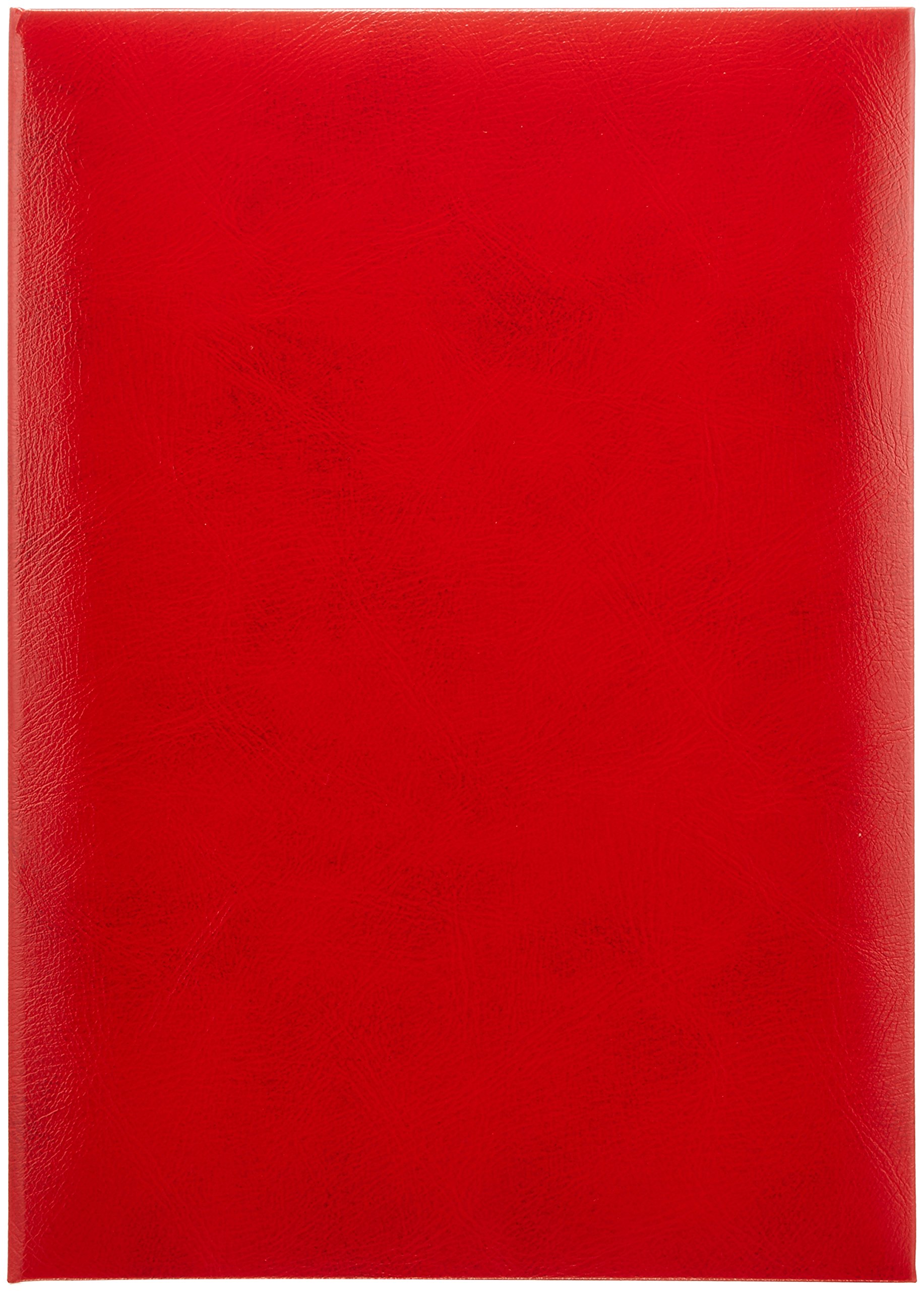 【送料無料】ナカバヤシ 証書ファイル 賞状ホルダー 二つ折り ビニールクロス A4判 赤 FSL-A4R