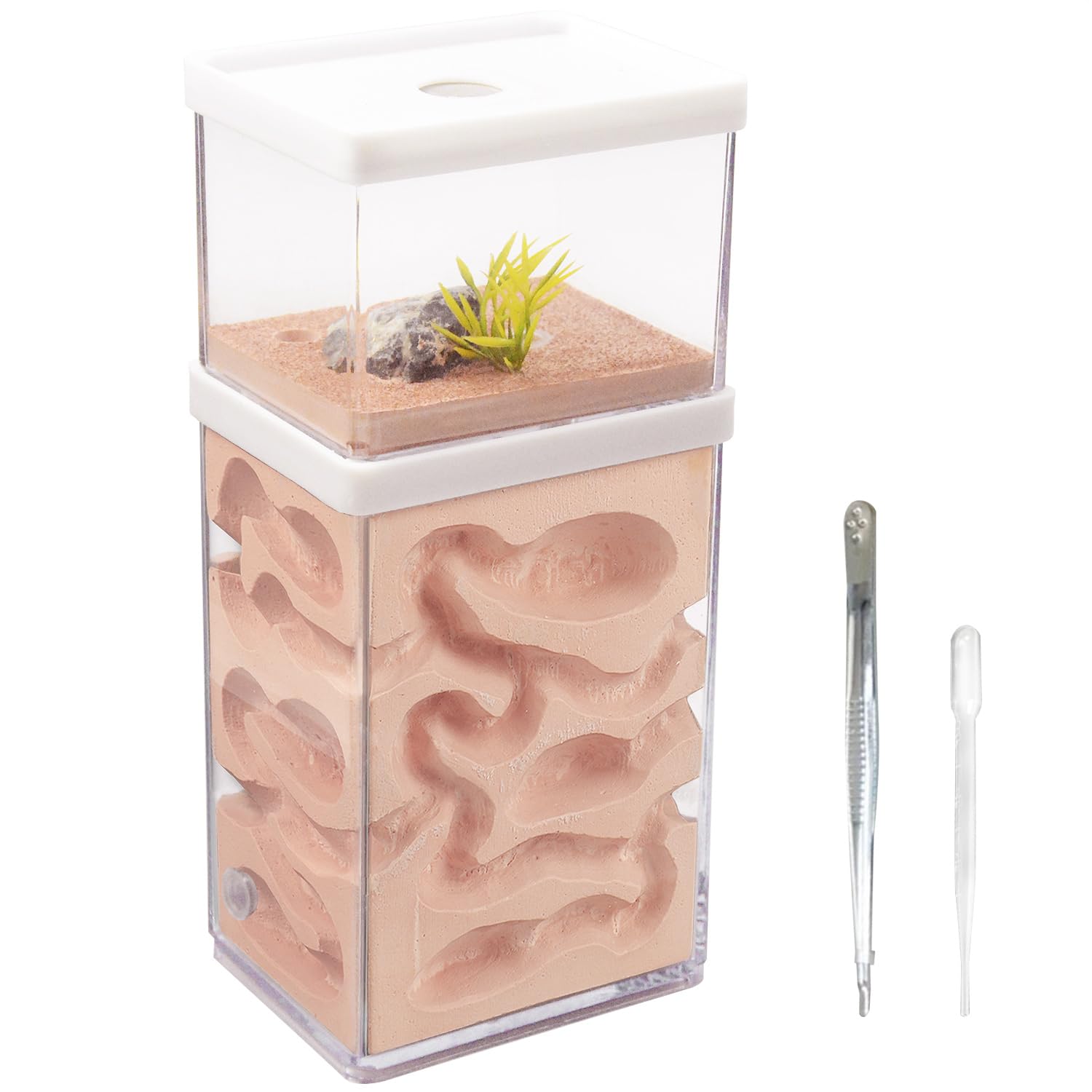 【送料無料】aleawol アリの巣観察キット アリ飼育箱 蟻の巣観察キット 蟻 飼育 石膏製巣箱 2層式 透明..