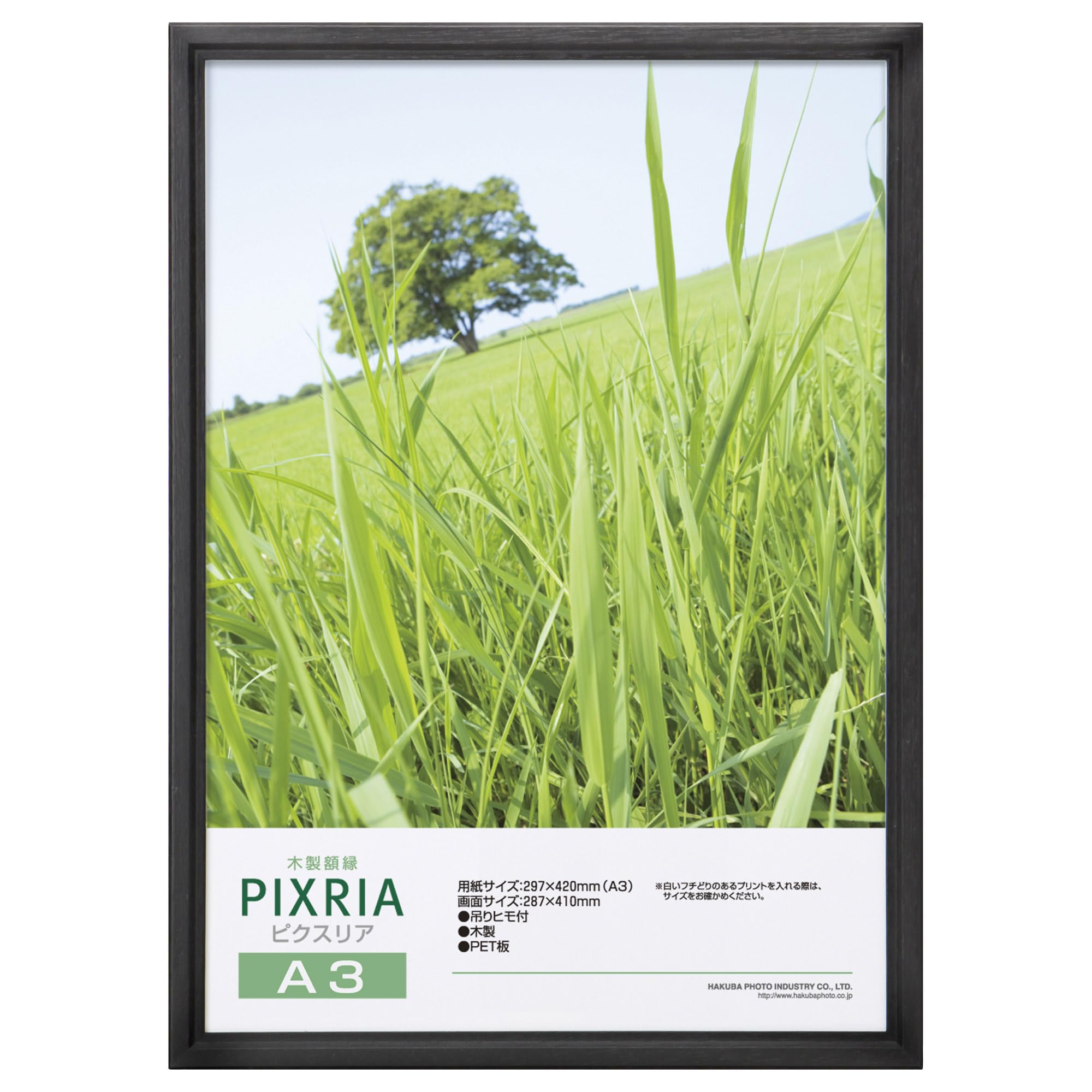 【送料無料】ハクバ 【限定】HAKUBA 木製額縁 ピクスリア A3サイズ ブラック ポスターフレーム フォトフレーム 前面PET板 吊り紐付きFWPX-BKA3