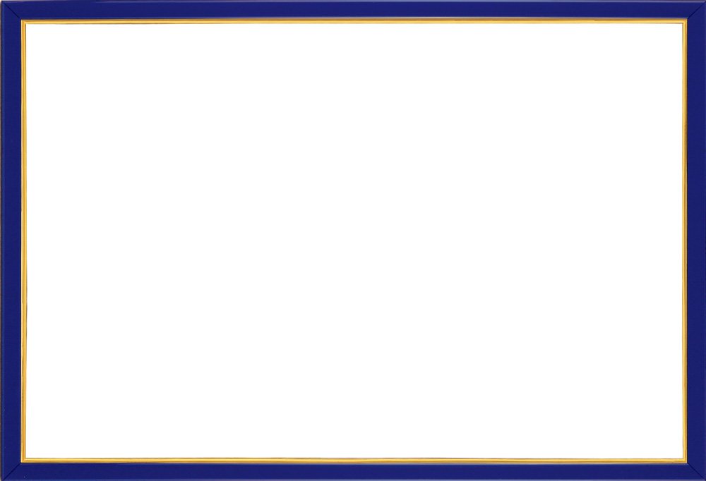 楽天COCO 生活便利グッズ【送料無料】エポック社 【日本製】 木製 パズルフレーム ウッディーパネルエクセレント ゴールドライン 金モール仕様 シャインブルー （49×72cm） （パネルNo.10-D） 掛ヒモ 点数券付き セルカバーUVカット仕様 パズル Frame 額縁