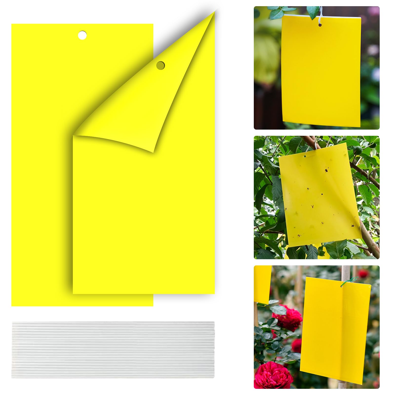 【送料無料】【BEAUTY PLAYER】虫取り 粘着シート 捕虫シート 防虫シート 害虫捕獲粘着紙 植木鉢 畑 昆..