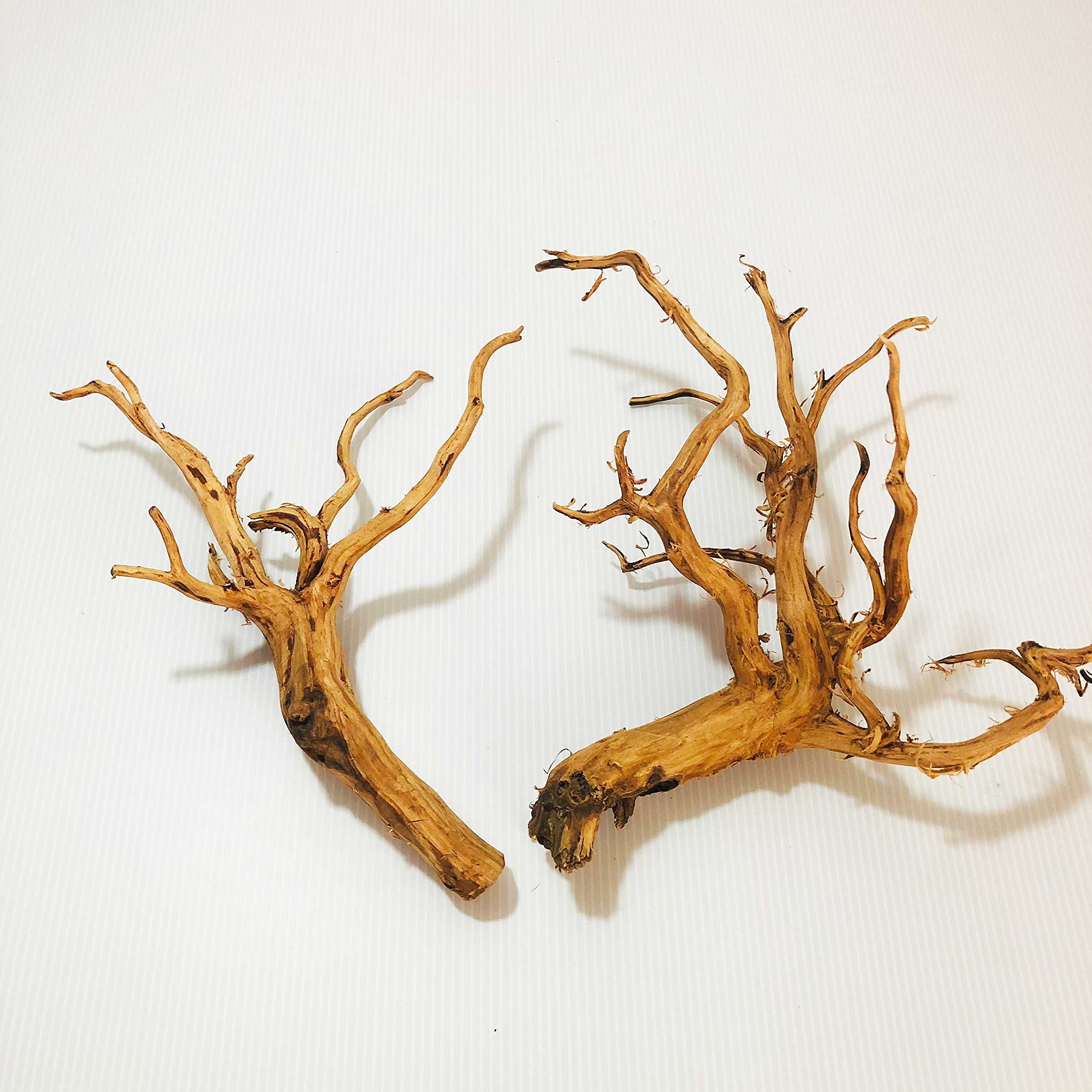 【送料無料】Goldlife 流木 中 Mサイズ 2本セット スマトラウッド インドネシア産 枝流木 アクアリウム..