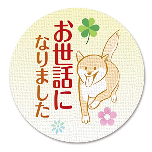 ̵ۥեȥ åԥ   ľ3.2cm 505ȡ  (01 äˤʤޤ)