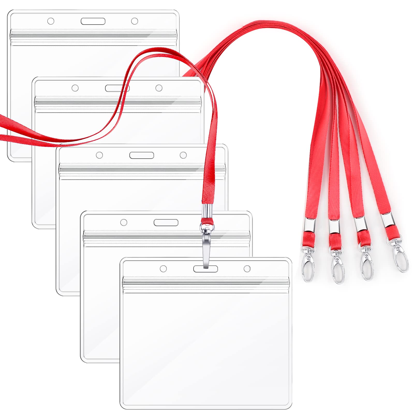 ̵ۡidɥۥSegarty ͡ۥ ̾ 5  ֤ ߤ겼̾ Ұ Ʃ̾ ɥۥ ݤ ξ...