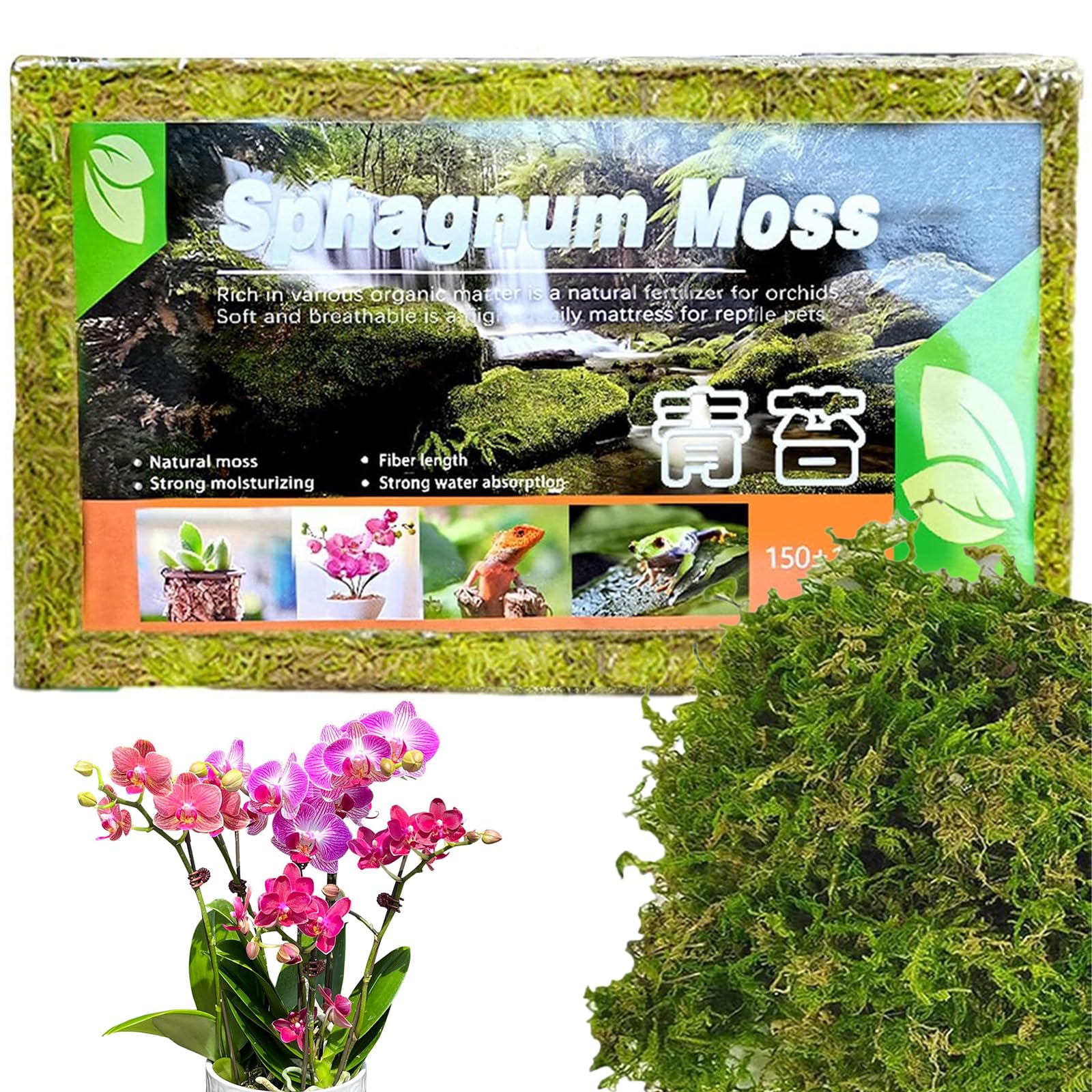【送料無料】DEVENTORZ 水苔 - 天然水苔 水苔 圧縮水苔 ミズゴケ 150g 胡蝶蘭 植え 替え水苔 園芸用 培養土 みずごけ園芸用土 土壌改良材 水耕用肥料蘭用ミズゴケ 水草基質 栄養素が豊富 多肉植物 観葉植物 植 虫植物 爬虫類植物土壌 植物の成長培養 鉢土の乾燥防止 みず
