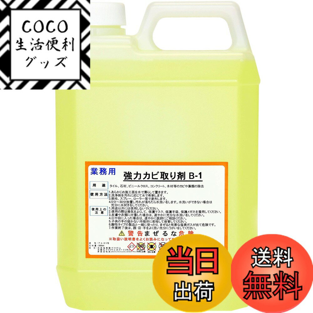【送料無料】野口商事 強力カビ取り剤 B-1 業務用 超強力【詰め替えタイプ】2000ml 風呂 浴室 頑固な黒カビ取り剤