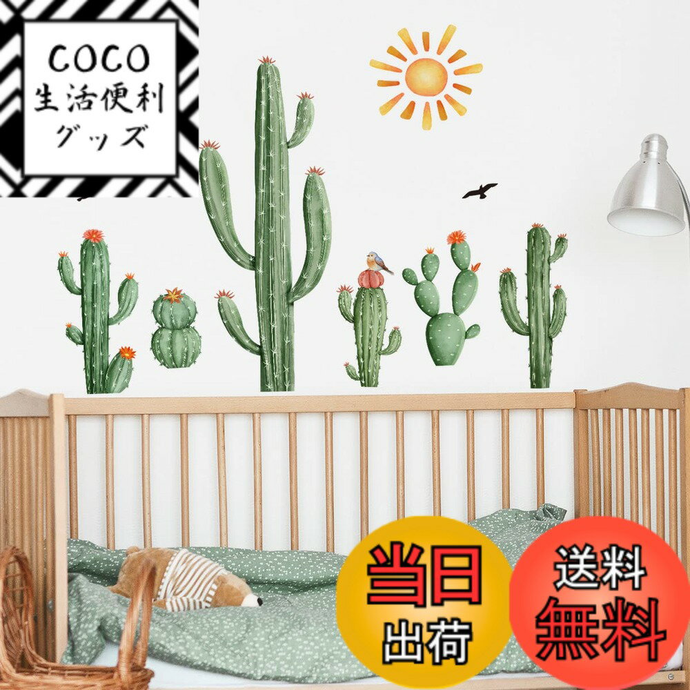 ������̵����WOHAHA �������륹�ƥå��� ��ʪ ������� ���꡼�� �ե��������� ĳ�� �� ����Ļ �� �ʿ� ��ӥ󥰥롼�� ���߽��� �٥åɥ롼�� ��...