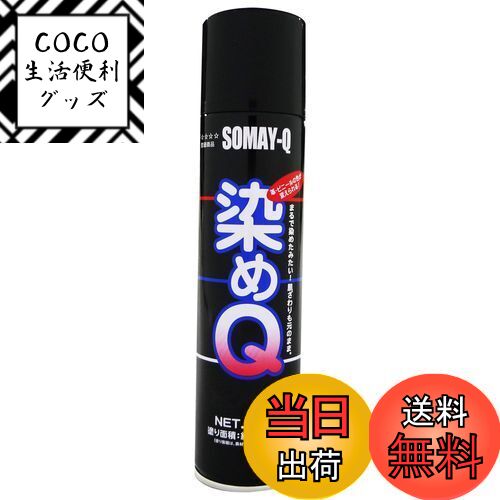 【送料無料】染めQテクノロジィ(Somay-Q Technology) 染めQエアゾール ブラック 264ML 油彩