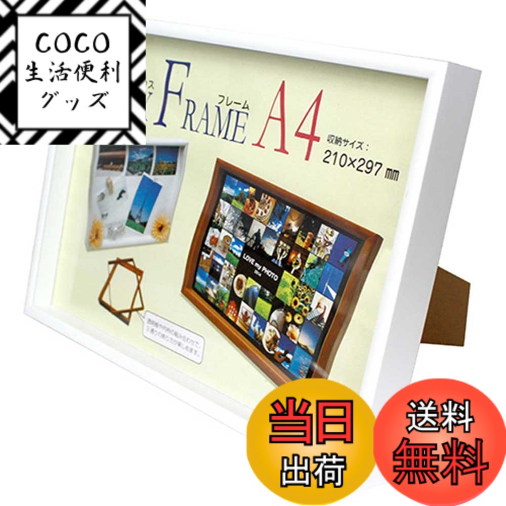 ������̵�������� VANJOH �ܥå����ե졼�� A4 �ۥ磻�� 105239