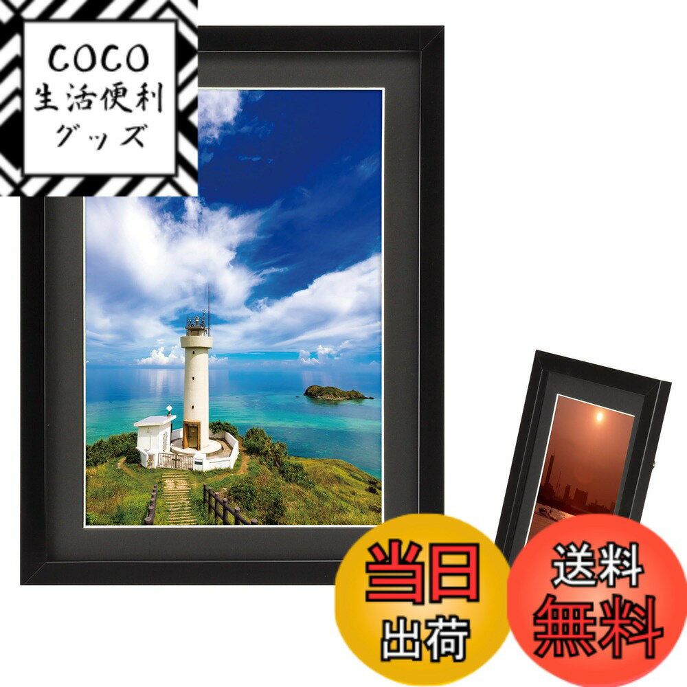 ������̵���ۥϥ��� HAKUBA �۱� MM-01 A4 ���� ��������� �֥�å� FWMM01-BKA4