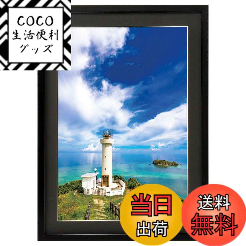 ������̵���ۥϥ��� HAKUBA �۱� MM-01 A3�Υ� ���� ��������� �֥�å� FWMM01-BKA3N