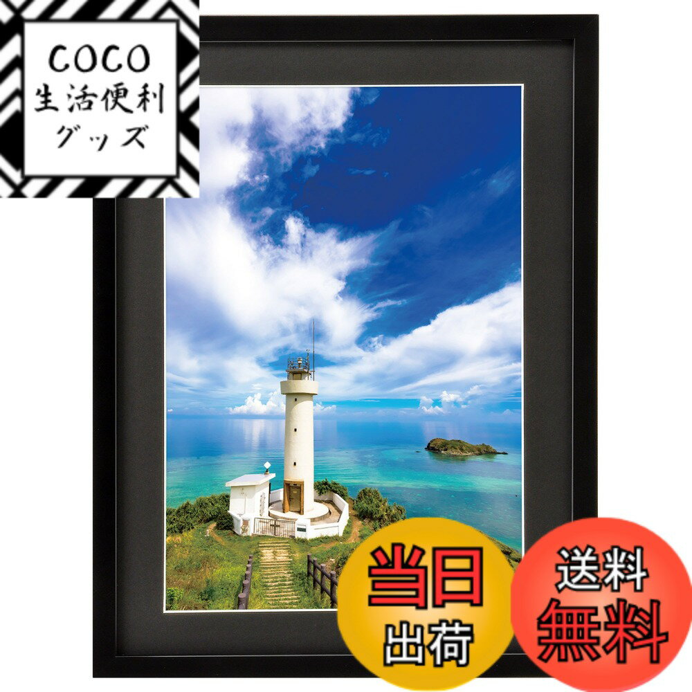������̵���ۥϥ��� HAKUBA �۱� MM-01 �磻��4�� ���� �֥�å� FWMM01-BKW4
