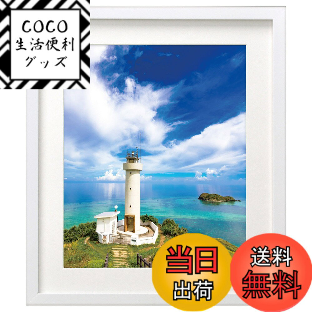 ������̵���ۥϥ��� HAKUBA �۱� MM-01 4�� ���� �ۥ磻�� FWMM01-WT4