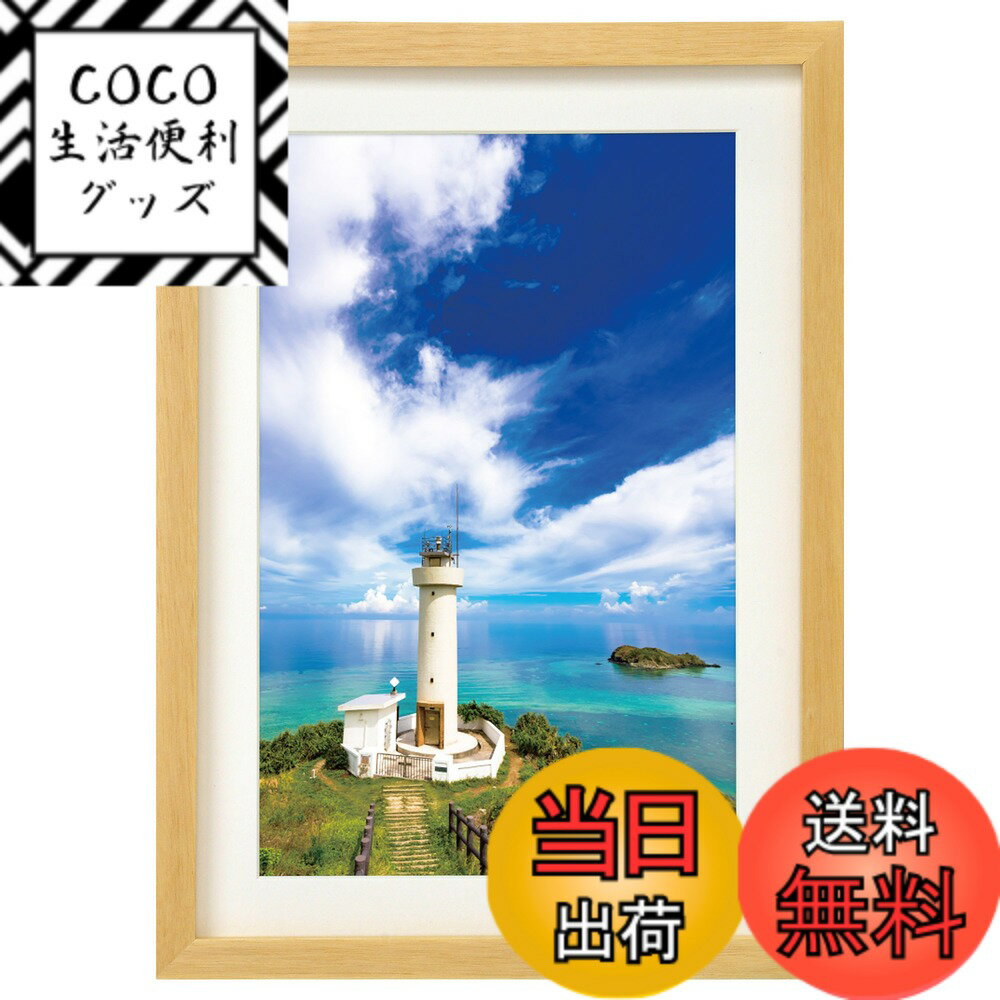 ������̵���ۥϥ��� HAKUBA �۱� MM-01 �磻��6�� ���� �ʥ����� FWMM01-NTW6