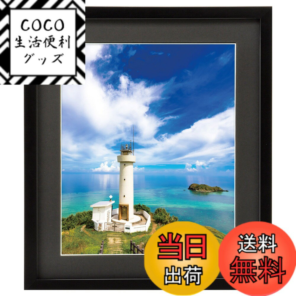 ������̵���ۥϥ��� HAKUBA �۱� MM-01 4�� ���� �֥�å� FWMM01-BK4