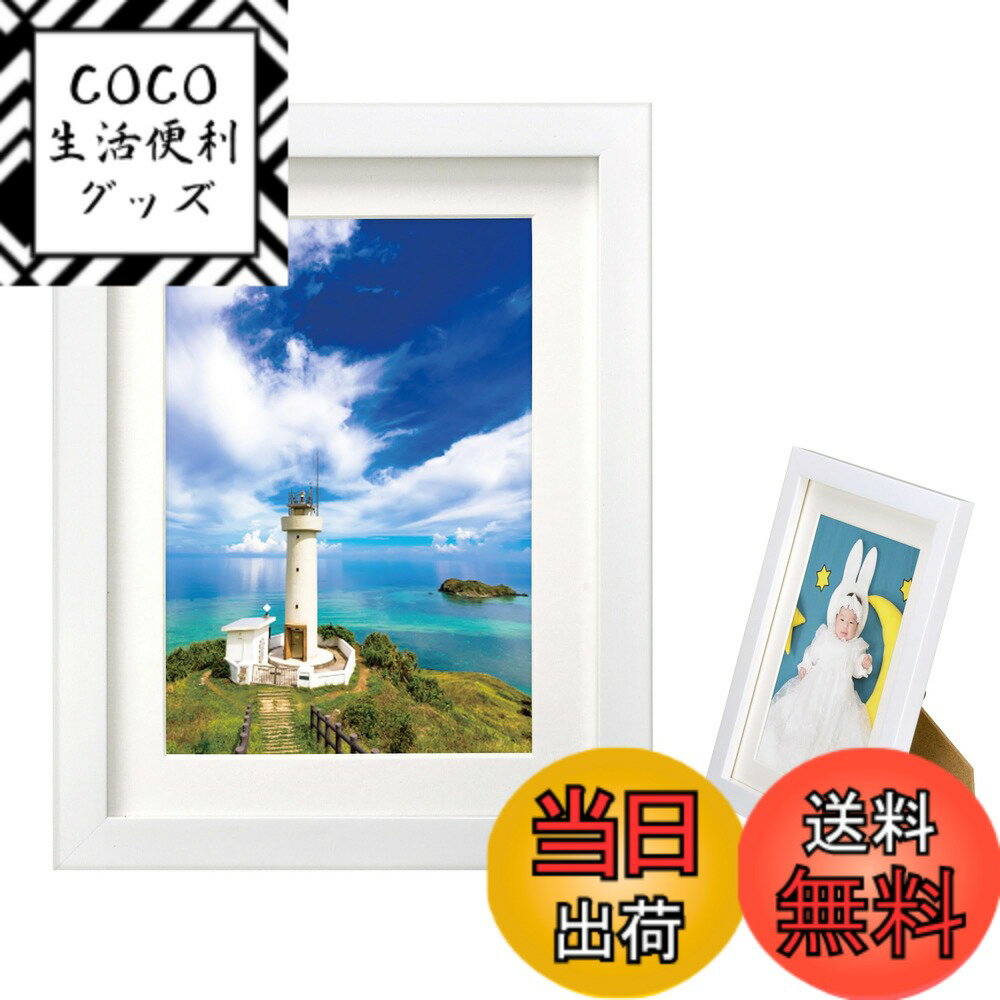 ������̵���ۥϥ��� HAKUBA �۱� MM-01 2L ���� ��������� �ۥ磻�� FWMM01-WT2L