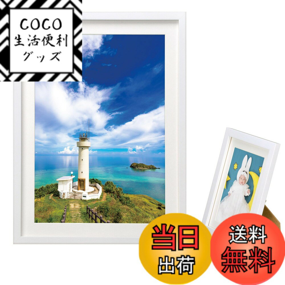 ������̵���ۥϥ��� HAKUBA �۱� MM-01 A4 ���� ��������� �ۥ磻�� FWMM01-WTA4