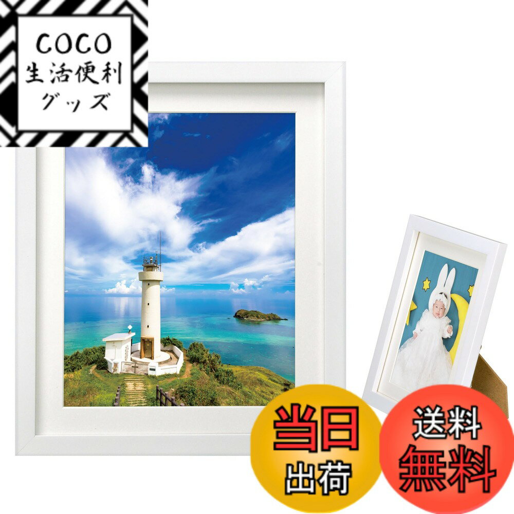 ������̵���ۥϥ��� HAKUBA �۱� MM-01 6�� ���� ��������� �ۥ磻�� FWMM01-WT6