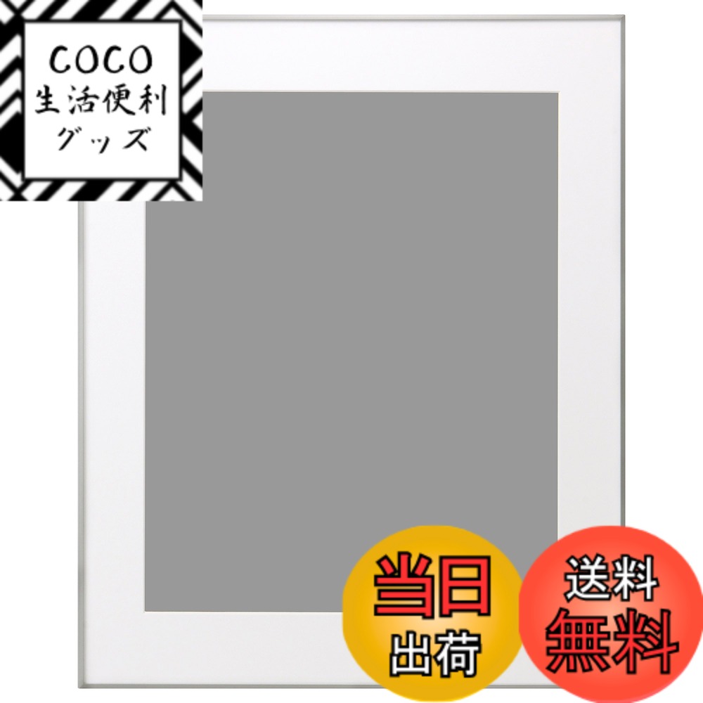 【送料無料】ハクバ HAKUBA 額縁 アルミ HFA-03 全紙 アクリル板 シルバー HFA-03SV-Z