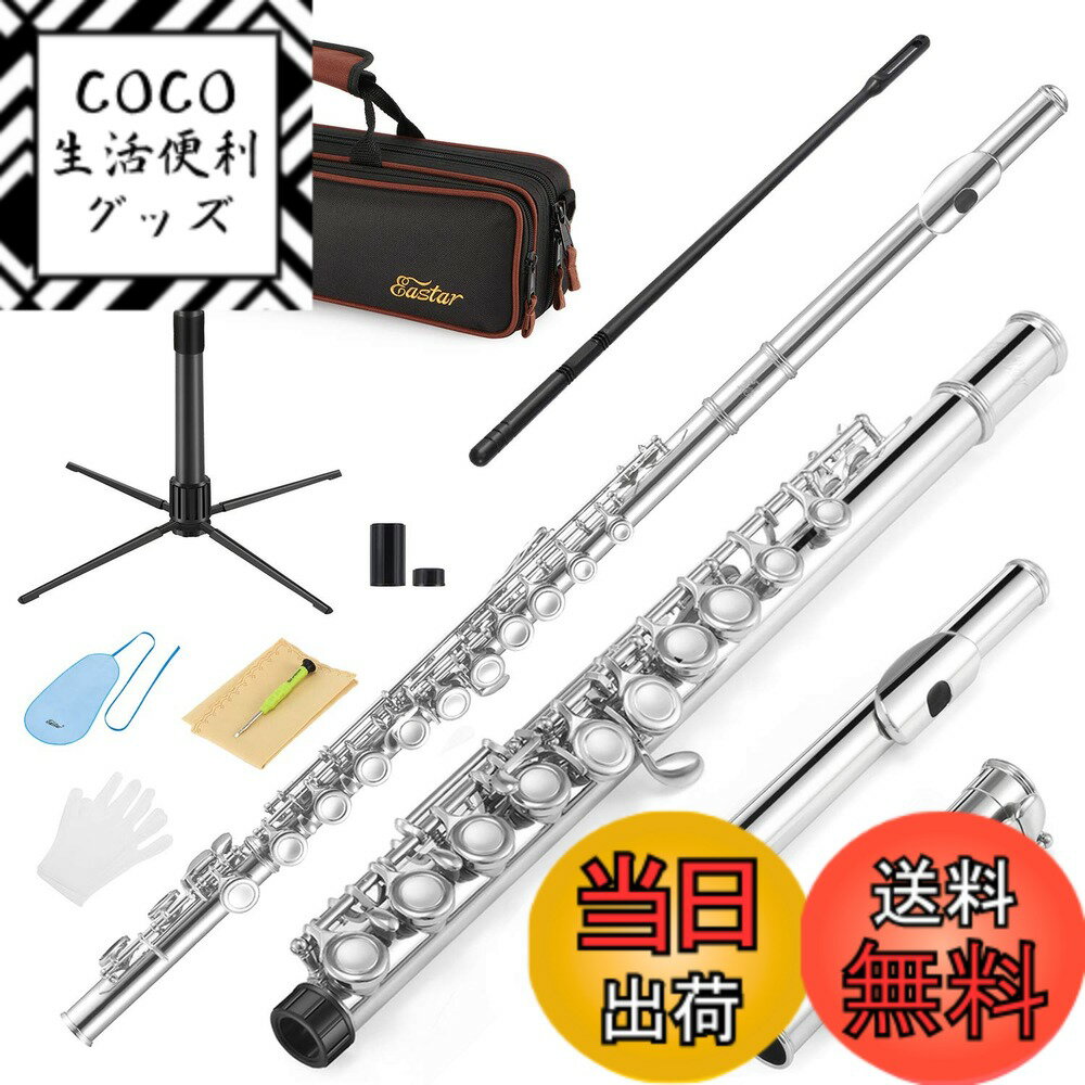 【送料無料】Eastar フルート カバードキー 16穴 Eメカ付き オフセット ニッケルメッキ ス ...