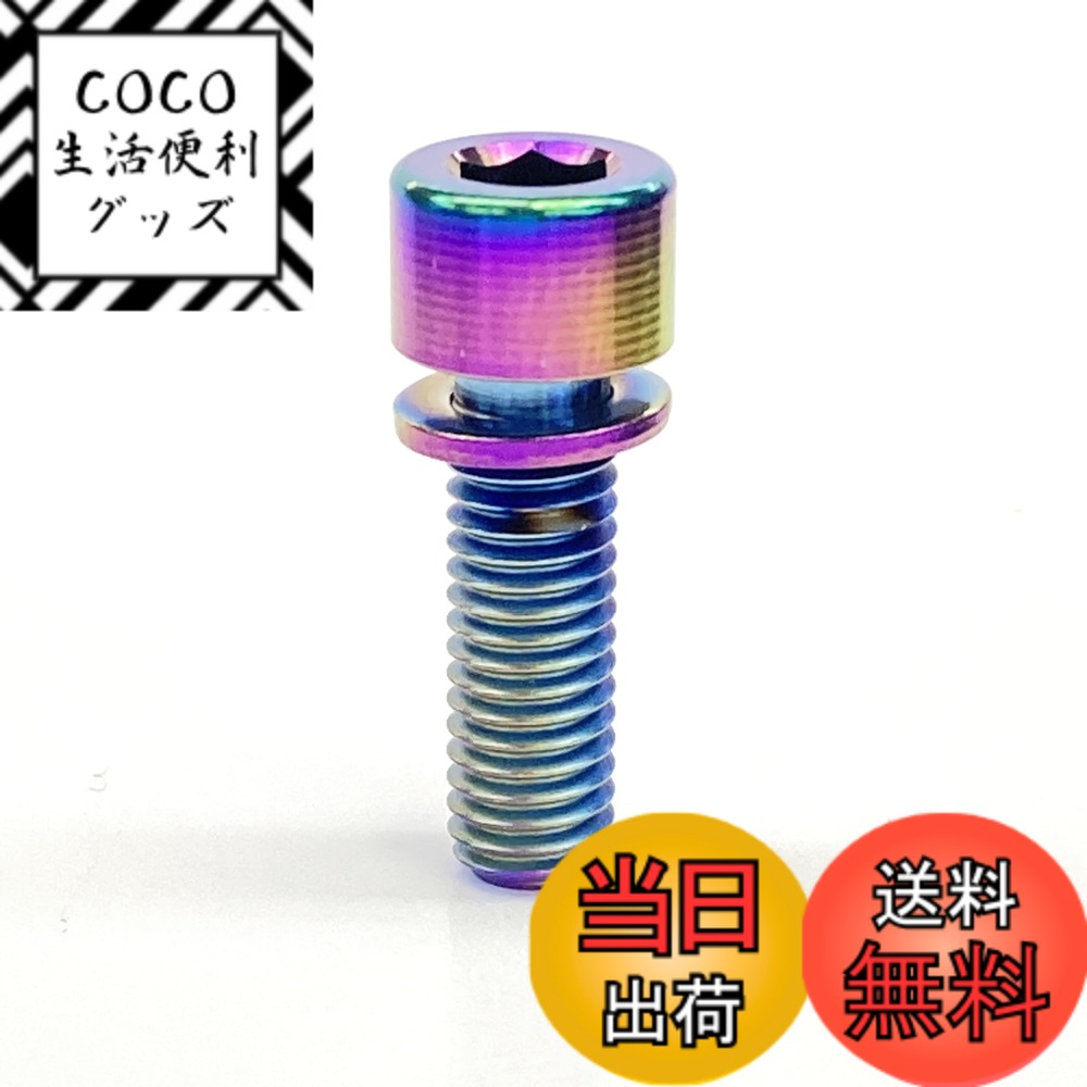 【送料無料】エヴァディオ(Avedio) チタンボルト M5x16mm(焼付) 70858
