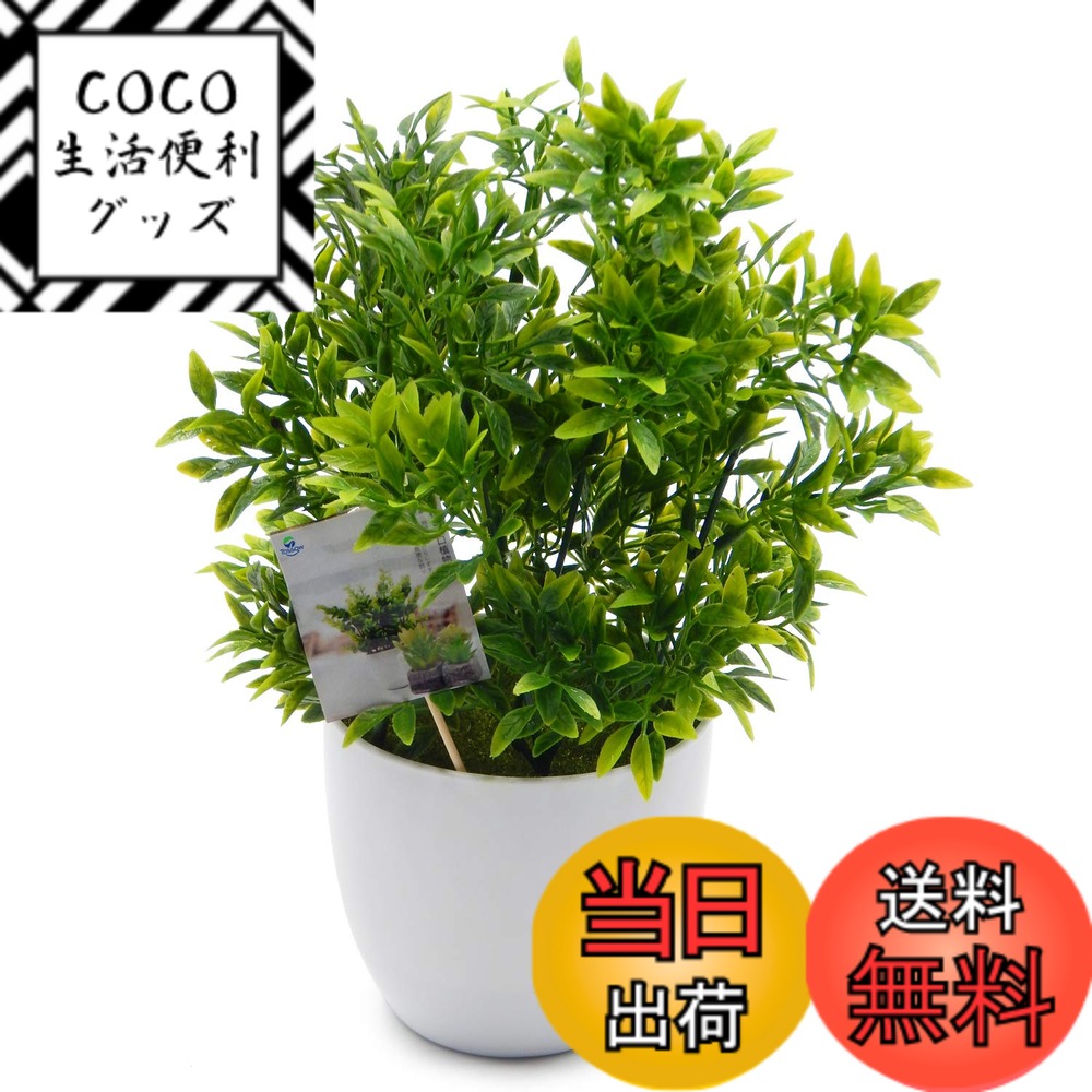 【送料無料】TOSSOW 人工観葉植物 フェイクグリーン 観葉植物 フェイク 造花 ミニ インテリア 世話のいらない 可愛い贈り物