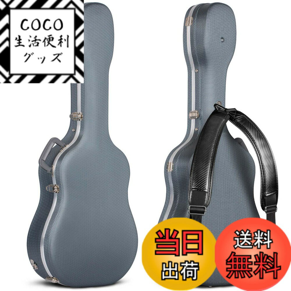 【送料無料】CAHAYA PUショルダーストラップ付属 アコギ アコースティック 航空託送可能 AB ...