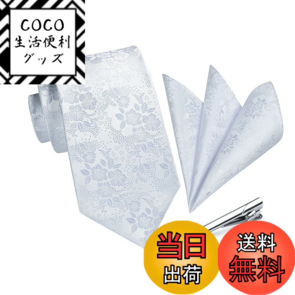 【送料無料】[HISDERN] 結婚式 ネクタイ シルバー メンズ ペイズリー柄 ネクタイ チーフ 3点セット プレゼント 高級 おしゃれ 慶事 披露宴 紳士 礼服 A3-03