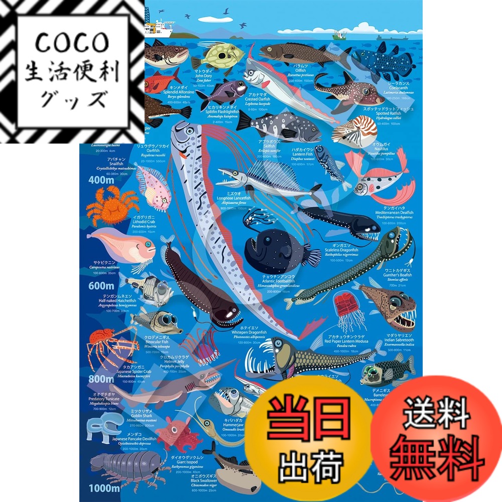 樂天商城 - 【送料無料】エポック社 100ラージピース ジグソーパズル イラスト/アート 友永たろ 深海生物図鑑 水深200m~1000m (26x38cm) 26-807 のり付き ヘラ付き 点数券付き EPOCH