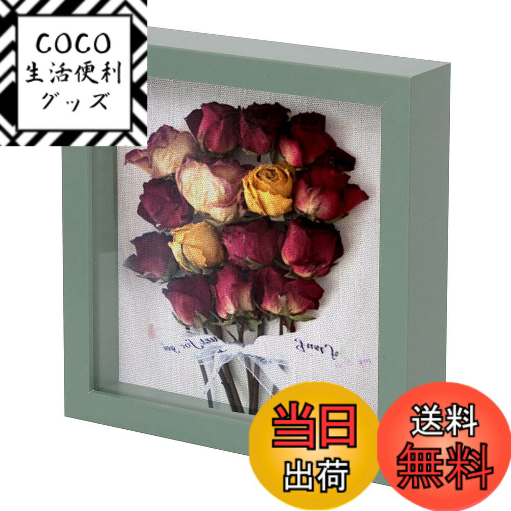 ������̵����Telarana �۱� Ω�γ� �ܥå����ե졼�� �ե��ȥե졼�� ���� �ɳݤ� ��� ���ˤ� ���꡼�� �ֳ���224 x224 x45 MM ���1...
