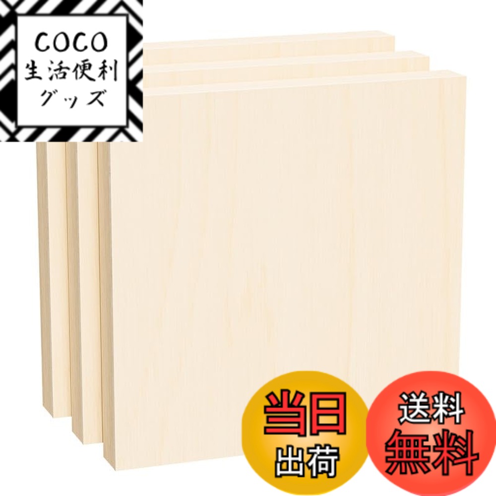 【送料無料】HANSILK ウッドキャンバスボード 木製パネル 張りキャンバス キャンバス シナベニ ...