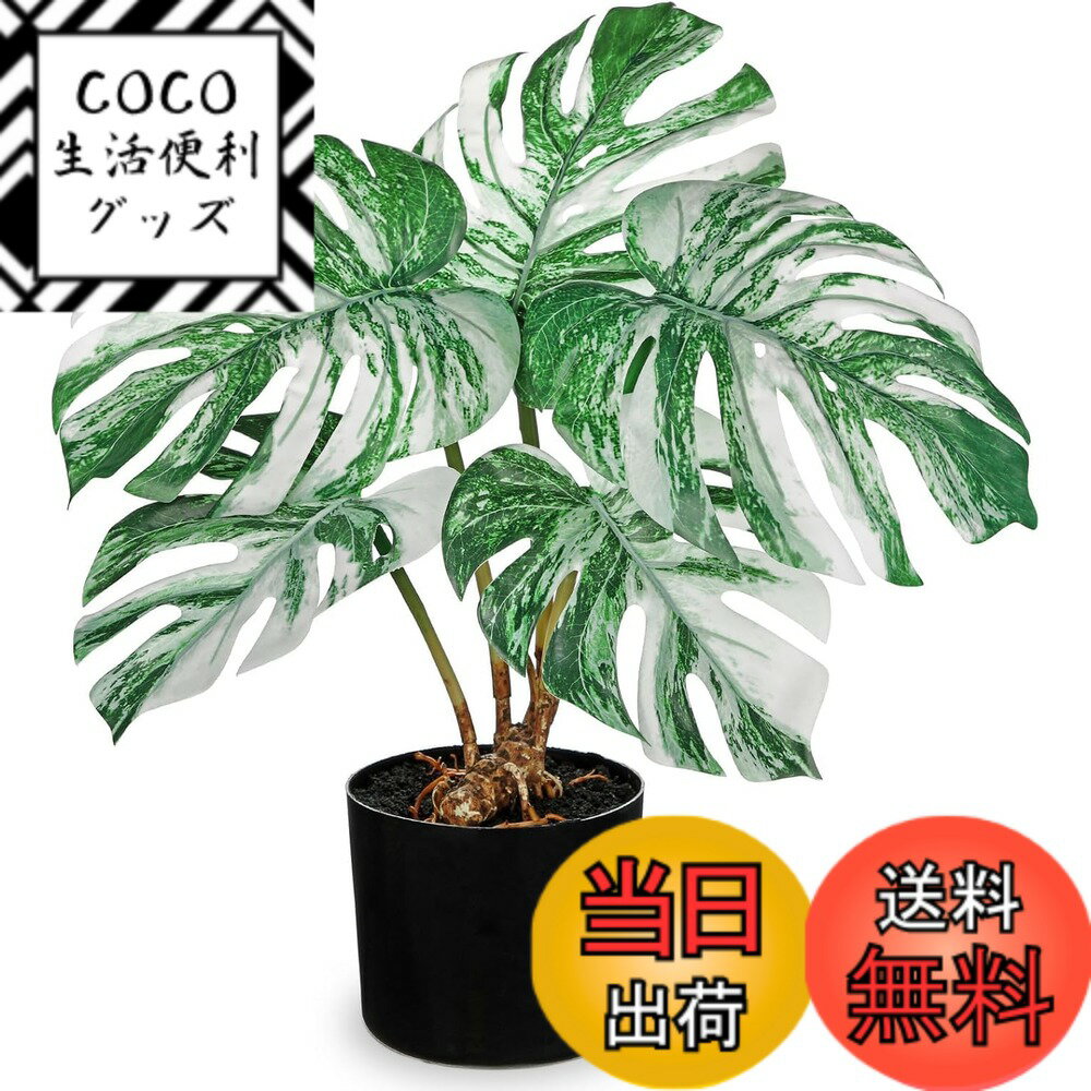 【送料無料】Villa Como フェイクグリーン インテリアグリーン 人工 観葉植物 フェイク モンステラ 室内 大型 簡単保 水やり不要 害虫駆除不要 おしゃれ ギフト 色：白い