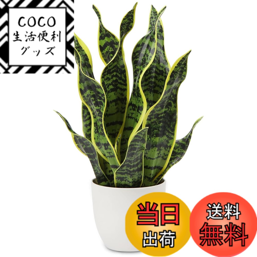 Rakuten - 【送料無料】Villa Como インテリアグリーン 観葉植物 フェイク フェイクグリーン サンスベリア 人工観葉植物 造花 卓上鉢植え テーブルデコレーション エアプランツ おしゃれ (サンスベリア01＃PEポット, 40CM) 色：サンスベリア01＃PEポット、サイズ：42CM＃01