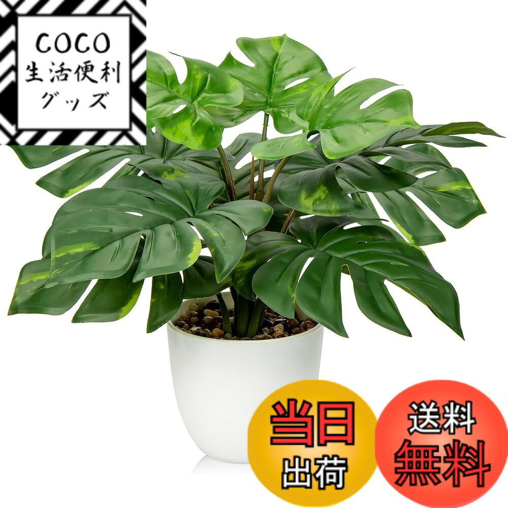 【送料無料】Villa Como フェイクグリーン インテリアグリーン 人工 観葉植物 フェイク ヤシ モンステラ ヒトデカズラ 室内 大型 簡単保 水やり不要 害虫駆除不要 おしゃれ ギフト (ヒトデ) 色：観葉植物-B、サイズ：小さい