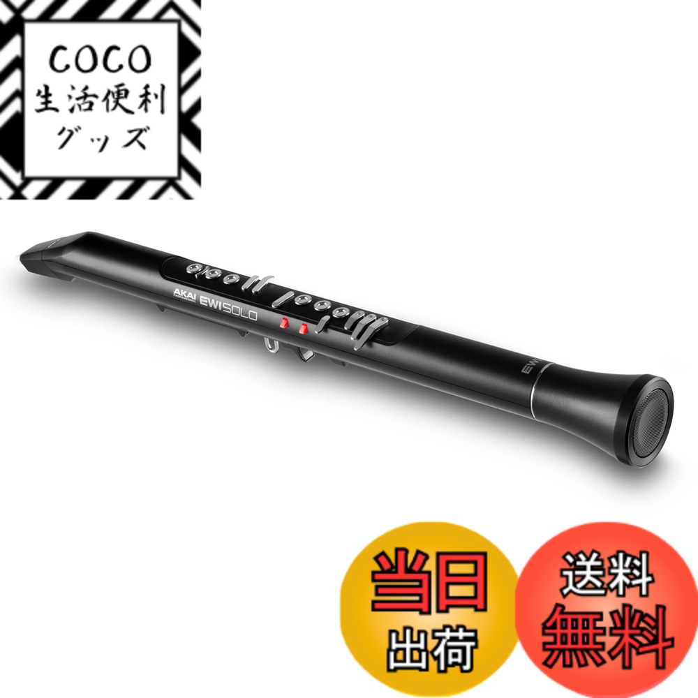 【送料無料】Akai Professional EWI Solo ウインドシンセサイザー 電子管楽器 スピーカー内蔵 充電式 200の音色 ブレスセンサー搭載 アカイプロ イーウィー 色：ブラック