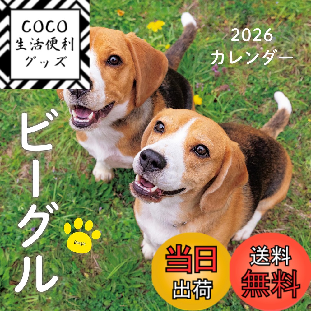 【送料無料】2026年カレンダー ビーグル (誠文堂新光社カレンダー)