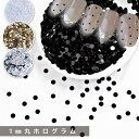 ネイルホログラム 1mm【1g】丸ホログラム