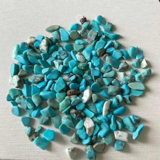 �ͥ���ѡ��� ��1�������� ��ʤ� �������� ���������� ���顼���ȡ��� ŷ���� ���� �ϥ�ɥᥤ�� �ͥ��륢���� �ʥ����륹�ȡ��� �쥸�� �ƥͥ��� �ԥ��� ���������꡼ SABOE