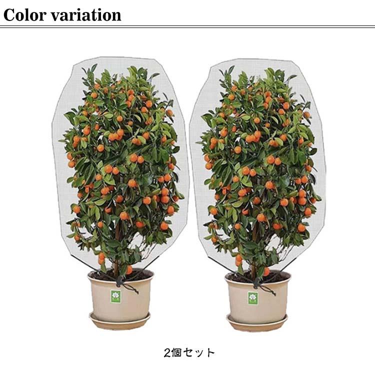 みかん 防虫ネット 花壇適用 【2個セット】植物保護カバー 網 植物保護袋 菜園 園...