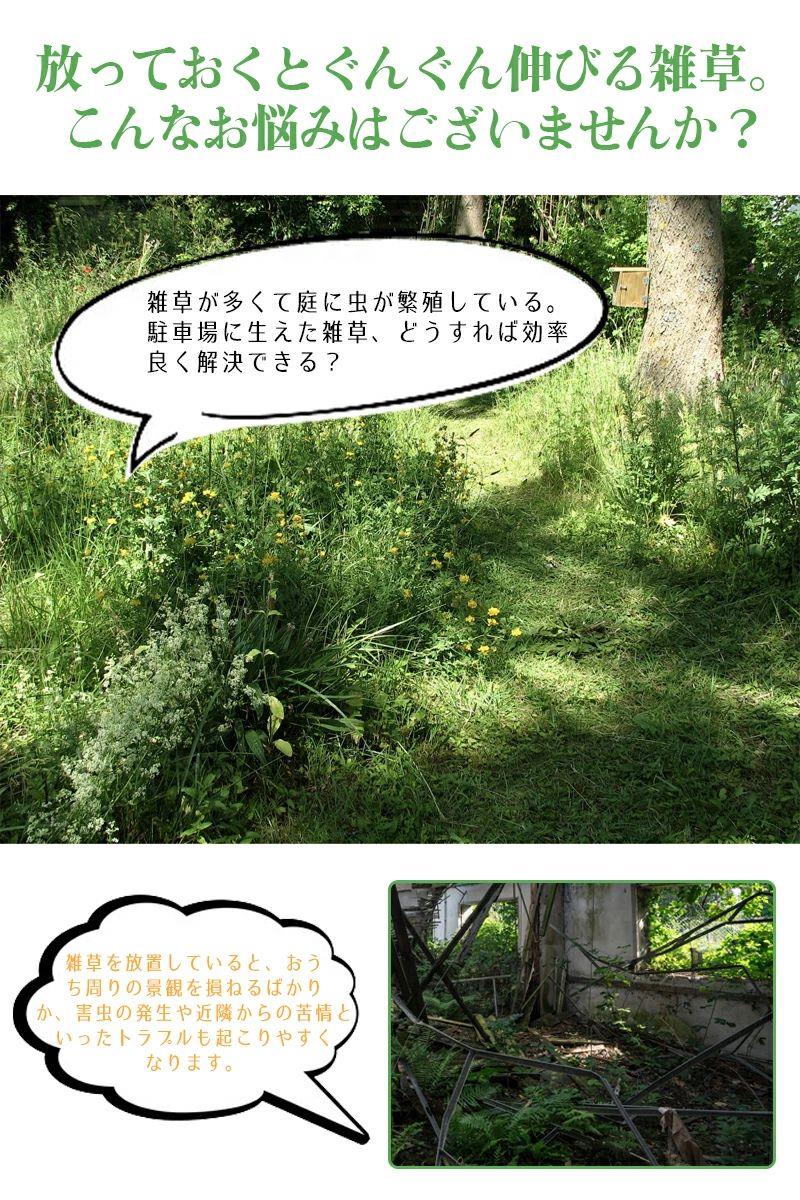 草刈りツール 道具 レーキ 草取り 草抜き 道具 草刈り 根こそぎ
