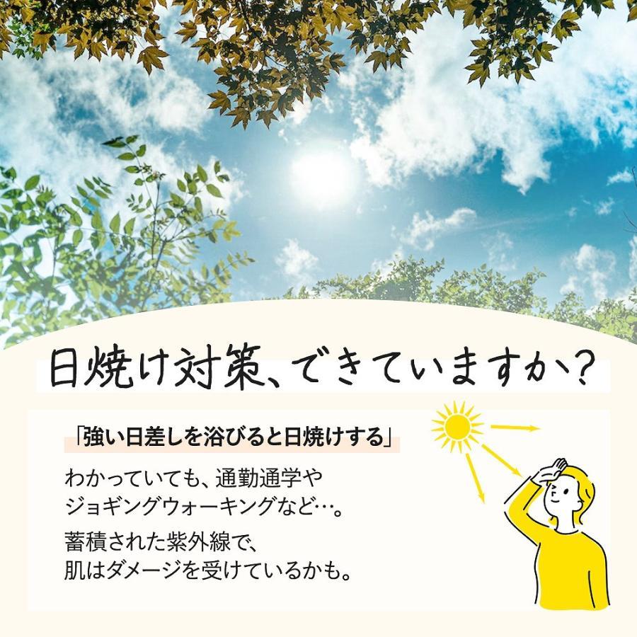 ラッシュガード 体型カバー 上着 シンプル パーカー レディース 接触冷感 ストレッ...