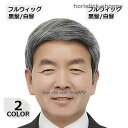 フルウィッグかつらメンズ男性用お年寄り用中高年白髪ブラック黒ナチュラル自然ミディアムショートストレート
