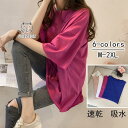tシャツ カットソー レディース トップス 半袖 綿 ゆったり 可愛い 薄手 吸水 速乾 カジュアル 無地 シンプル