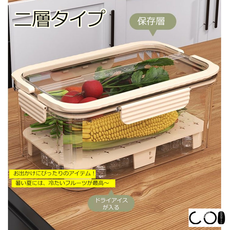 保存容器 二層タイプ 【ピクニック/持ち手付き】 パッキン フードキャニスター 密閉容器 透明 中身が見える フルーツケース 冷蔵 保存 おしゃれ シンプル ボックス 生鮮食品 鮮度長持ち 食品保存 野菜 飲み物 肉 お弁当 酒 ジュース 花見 運動会 冷やす ひんやり