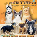 オリジナル オーダーメイド クッション 写真入り メモリアル ギフト 誕生日 プレゼント 結婚式 昔の写真で 成長の記録 愛犬 愛猫 記念 スター 母の日
